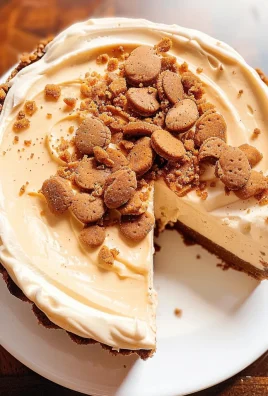 No Bake Cookie Butter Cheesecake